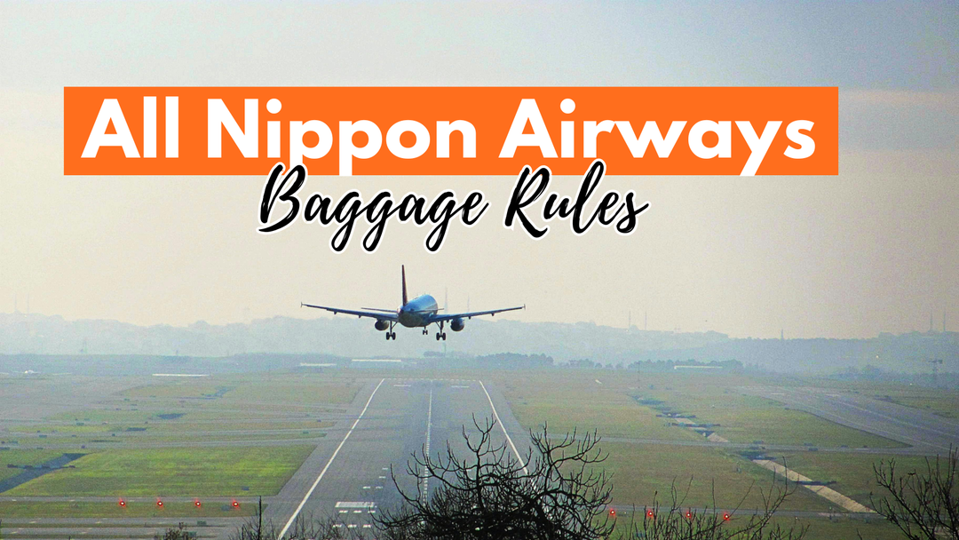 All Nippon Airways baggage rules guide banner featuring a plane landing on a runway.