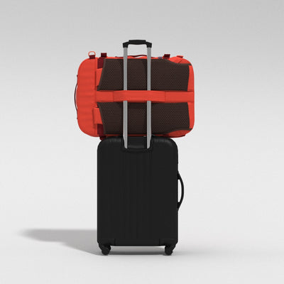 Classic Plus Rucksack -  32L Tomato Festival