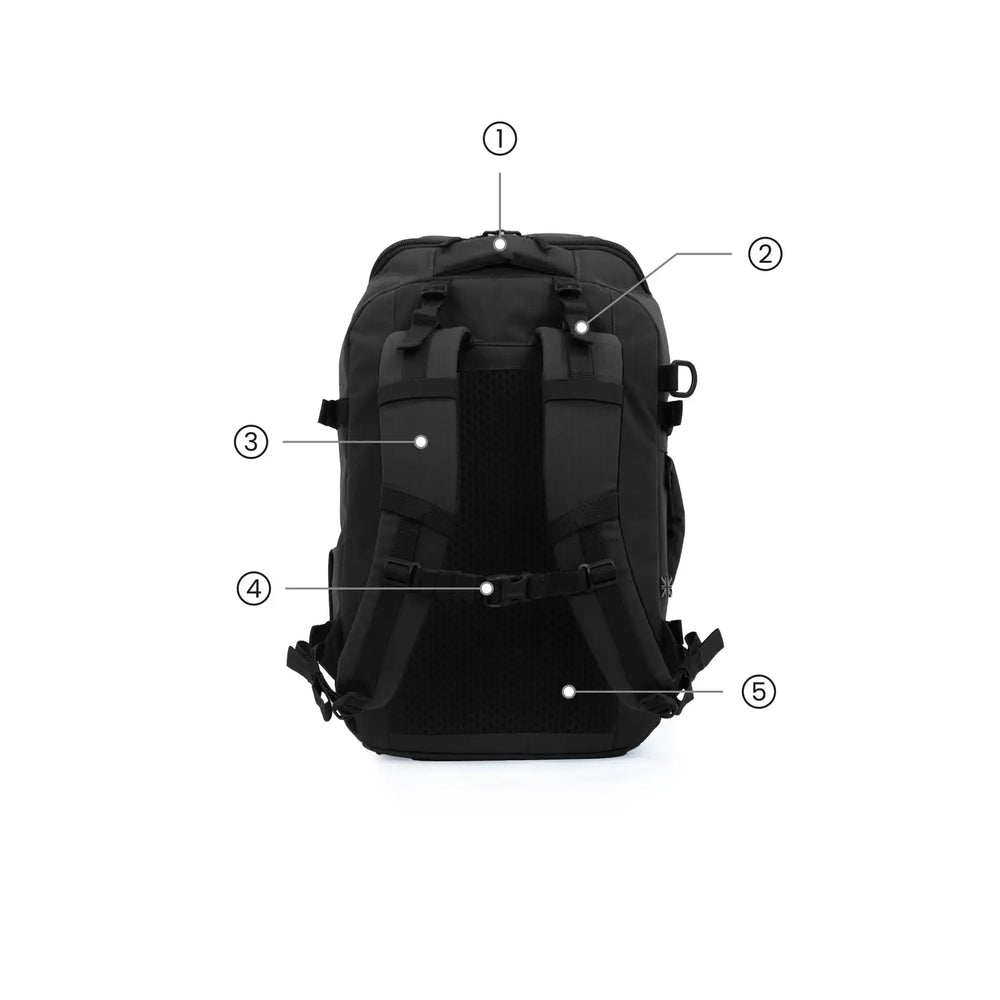 Back